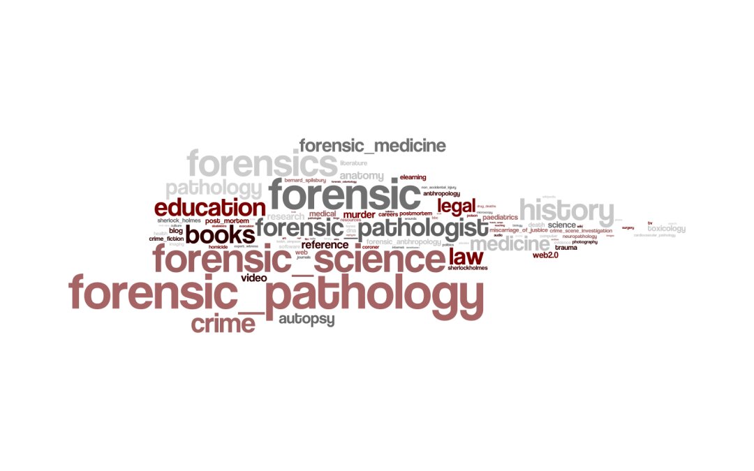 Forensic Medicine in South Africa: Associations between Medical Practice and Legal Case Progression and Outcomes in Female Murders