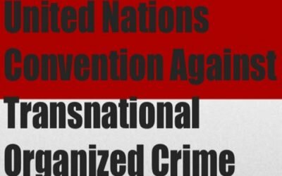 Call for applications to the 8th session of the Conference of the Parties to the UN Convention against Transnational Organized Crime (COP UNTOC)