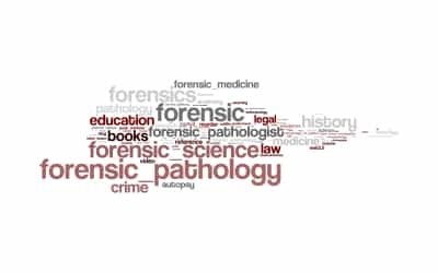 Forensic Medicine in South Africa: Associations between Medical Practice and Legal Case Progression and Outcomes in Female Murders